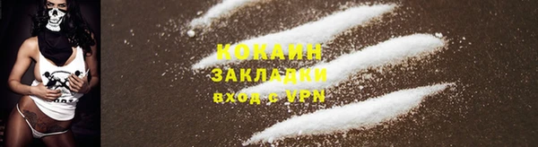 мескалин Бородино