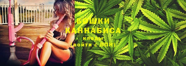 PSILOCYBIN Бронницы
