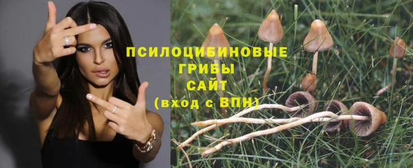 мескалин Бородино