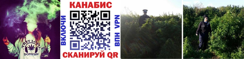 купить Славянск-на-Кубани shop официальный сайт Бошки марихуана Amnesia